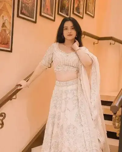 Escort Service In Pichhore